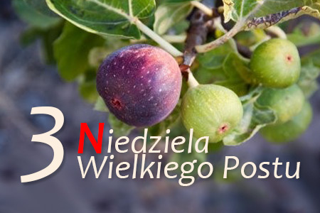 3 Niedziela Wielkiego Postu