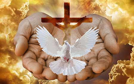 Dove - Polska parafia Londyn